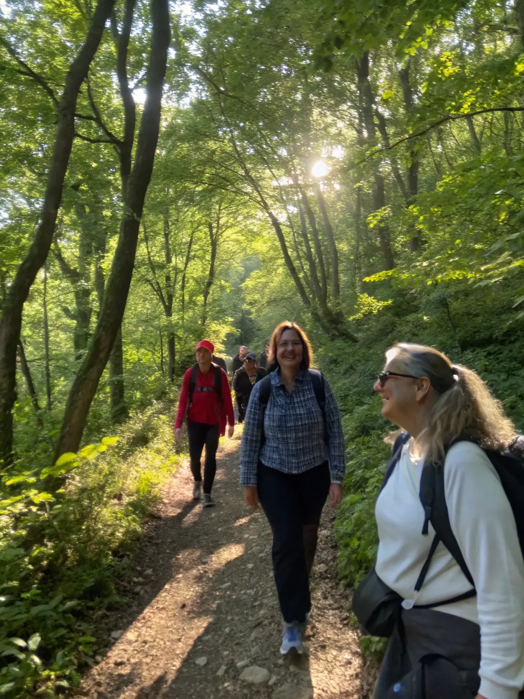 A group of hikers walking through a lush green forest trail, sunlight filtering through the trees, showcasing a typical AICR hiking activity.